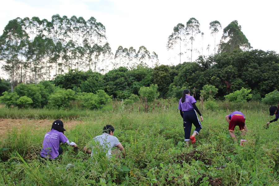 yl8cc永利线路检测中心