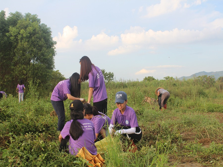 yl8cc永利线路检测中心