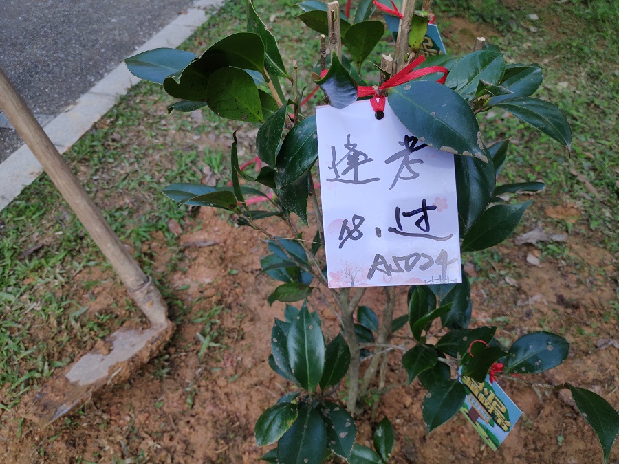 yl8cc永利线路检测中心