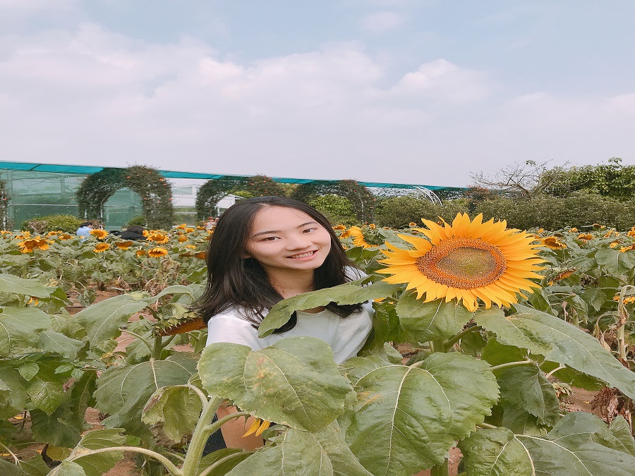 yl8cc永利线路检测中心