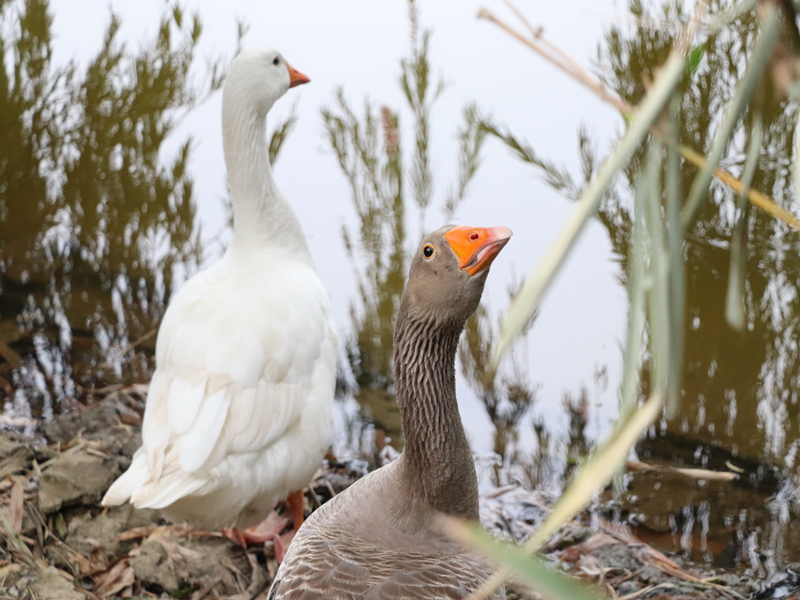 yl8cc永利线路检测中心