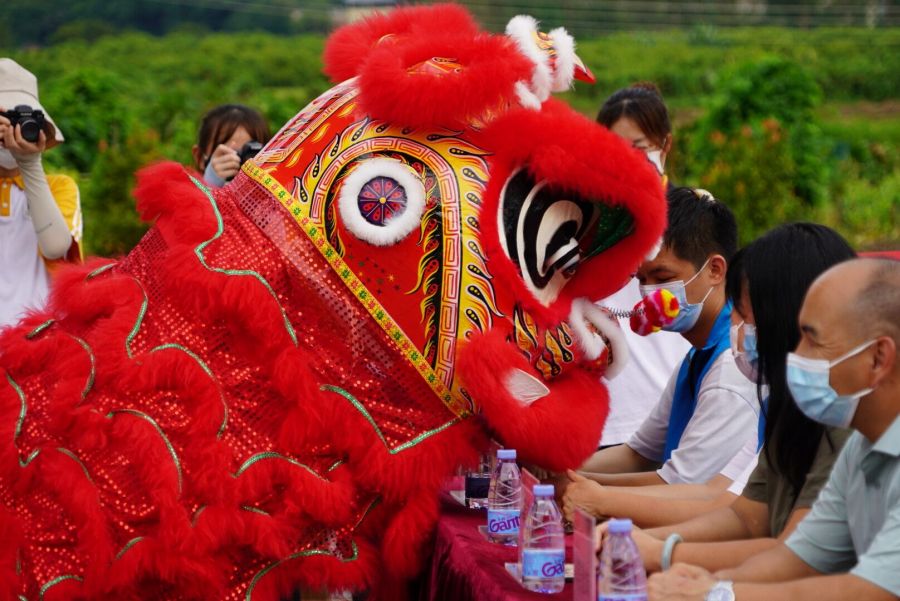 yl8cc永利线路检测中心