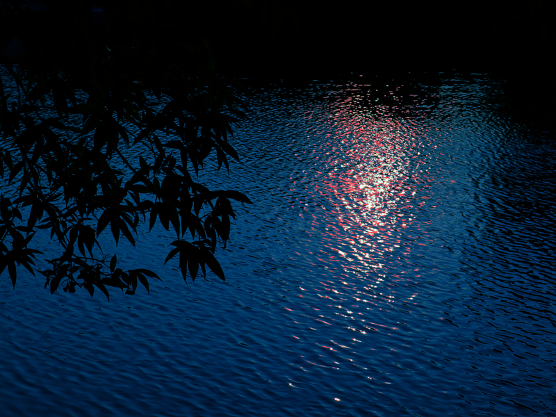 yl8cc永利线路检测中心