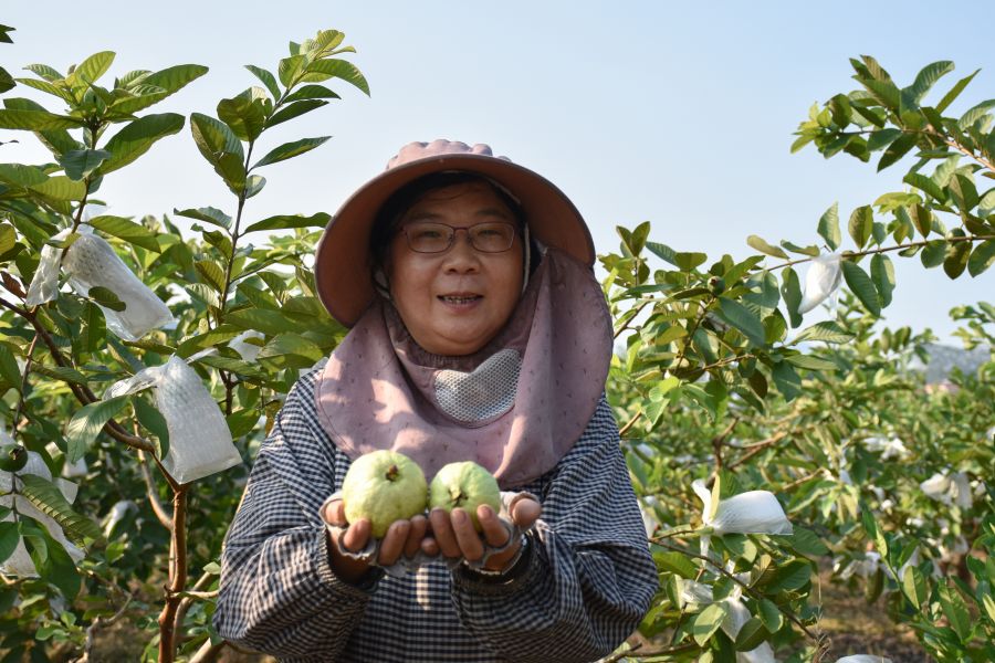 yl8cc永利线路检测中心