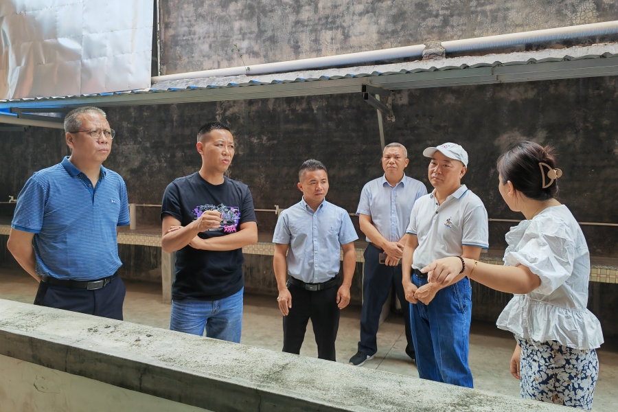 yl8cc永利线路检测中心